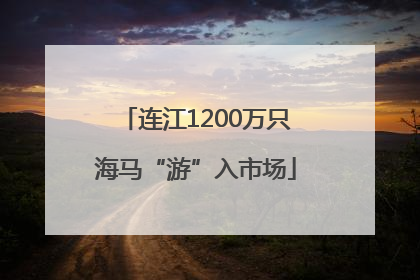 连江1200万只海马“游”入市场